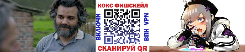 Купить закладки  Ясногорск  Cocaine FishScale 