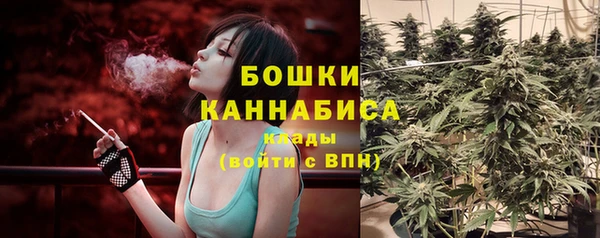 2c-b Заводоуковск