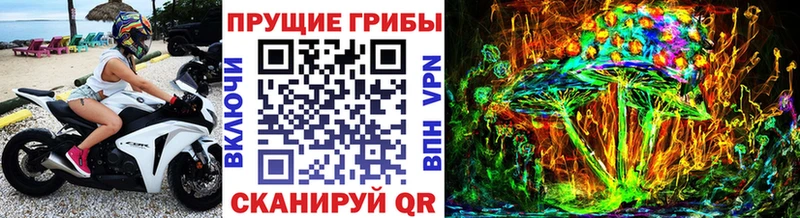 Псилоцибиновые грибы Cubensis  Купить закладки  Ясногорск 